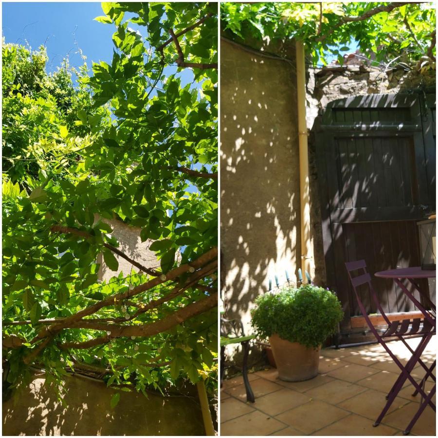 Le Chateau Camps-sur-l'Agly 外观 照片