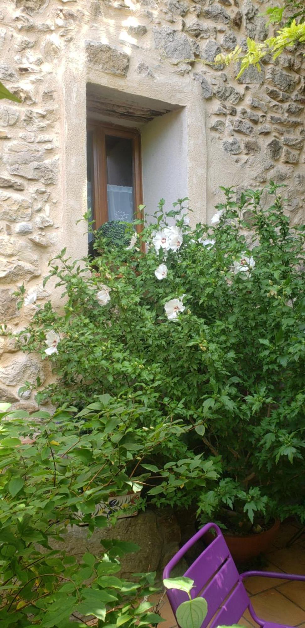 Le Chateau Camps-sur-l'Agly 外观 照片